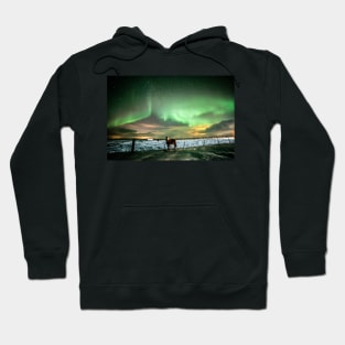 Icelandic horse under the northernlights. Hoodie